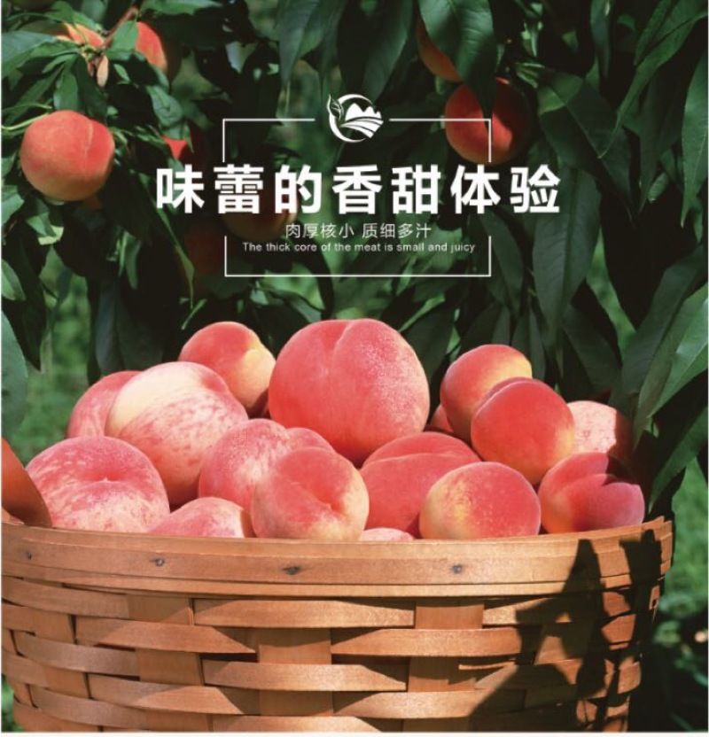 奉化水蜜桃45mm以上