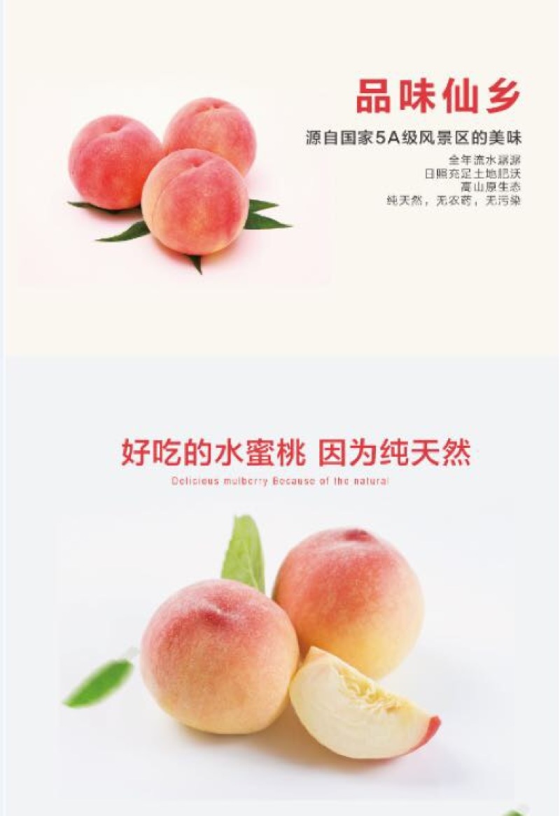 奉化水蜜桃45mm以上
