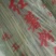 粉丝包装