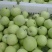 红露苹果75mm以上膜袋