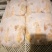 冰冻乳鸽