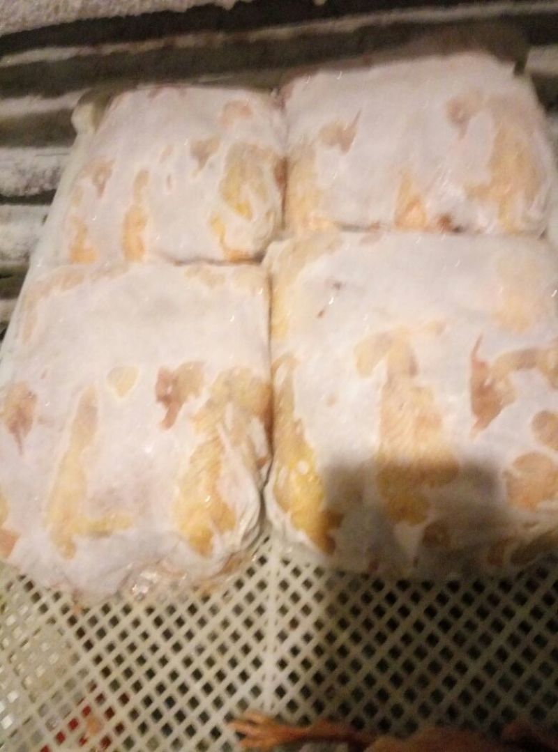 冰冻乳鸽