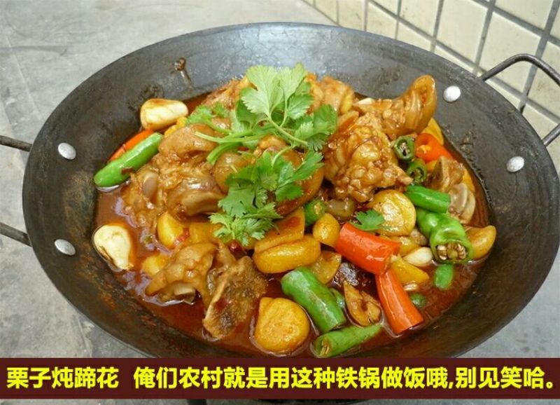 山东油栗中栗菜栗种