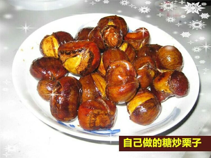 山东油栗中栗菜栗种