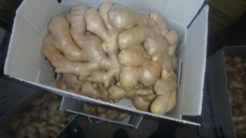 大黄姜批发（坏烂包赔）电商货商场货市场货一手货源