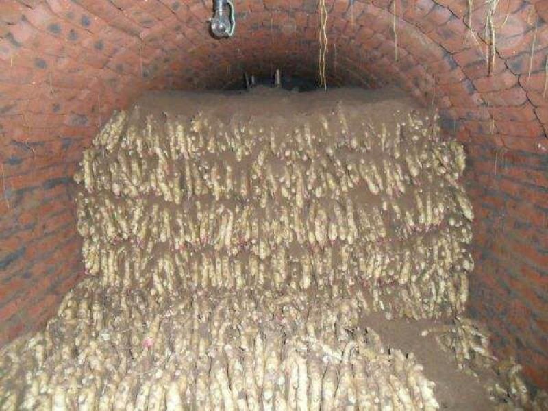 大黄姜批发产地(小黄姜批发)保质保量坏烂包赔全国发货