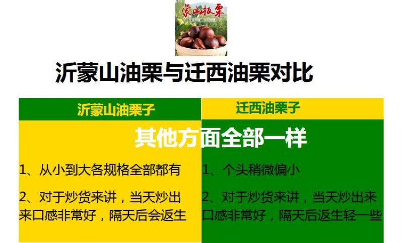 山东油栗特选炒栗种批发代发产地直发量大来支持一件代发