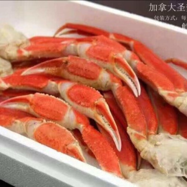 干虾