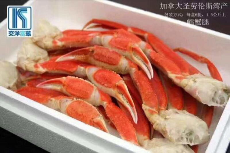 干虾