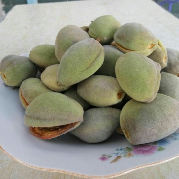 杏仁特级