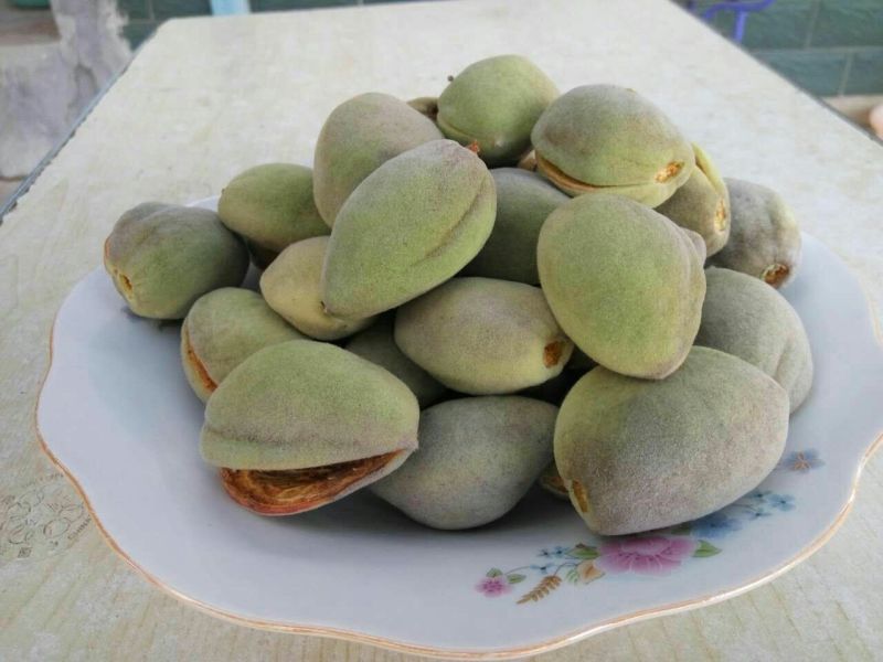 杏仁特级