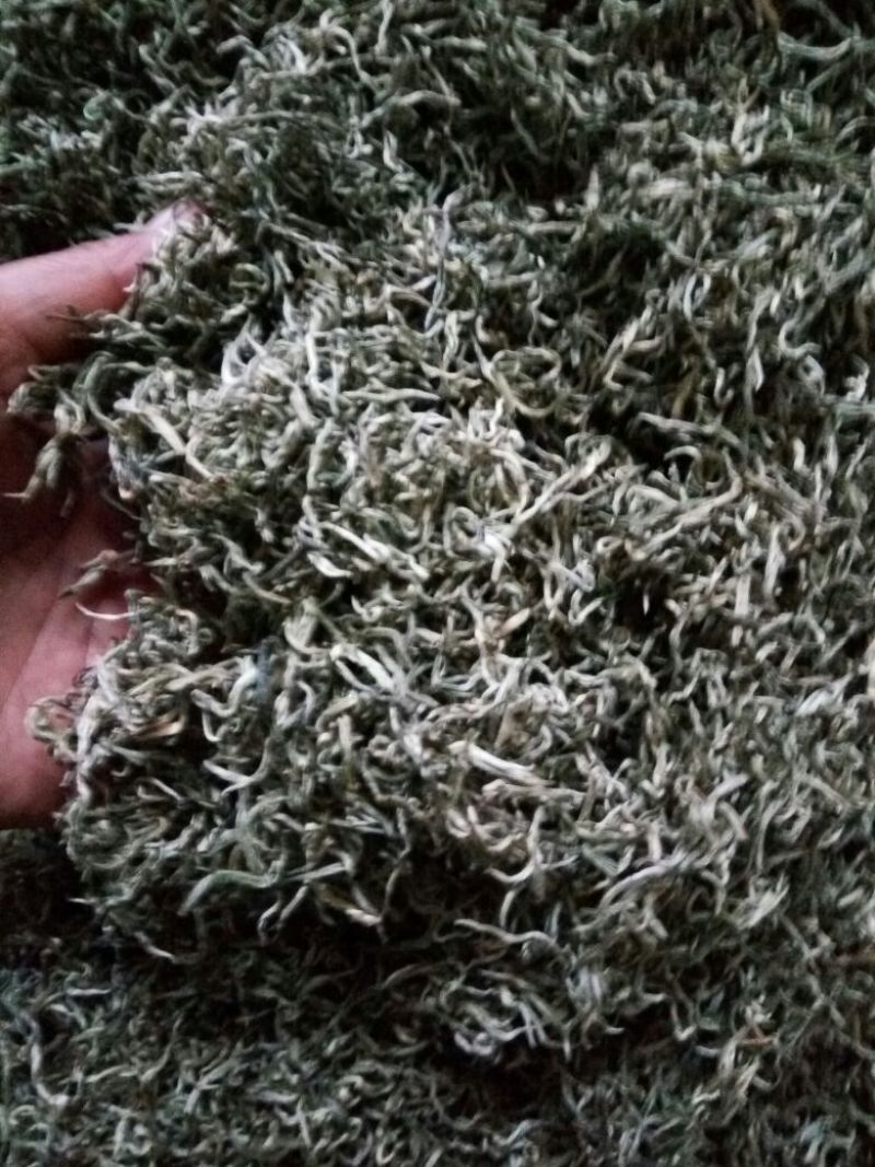普洱茶特级