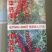 钙果苗30~50cm2年