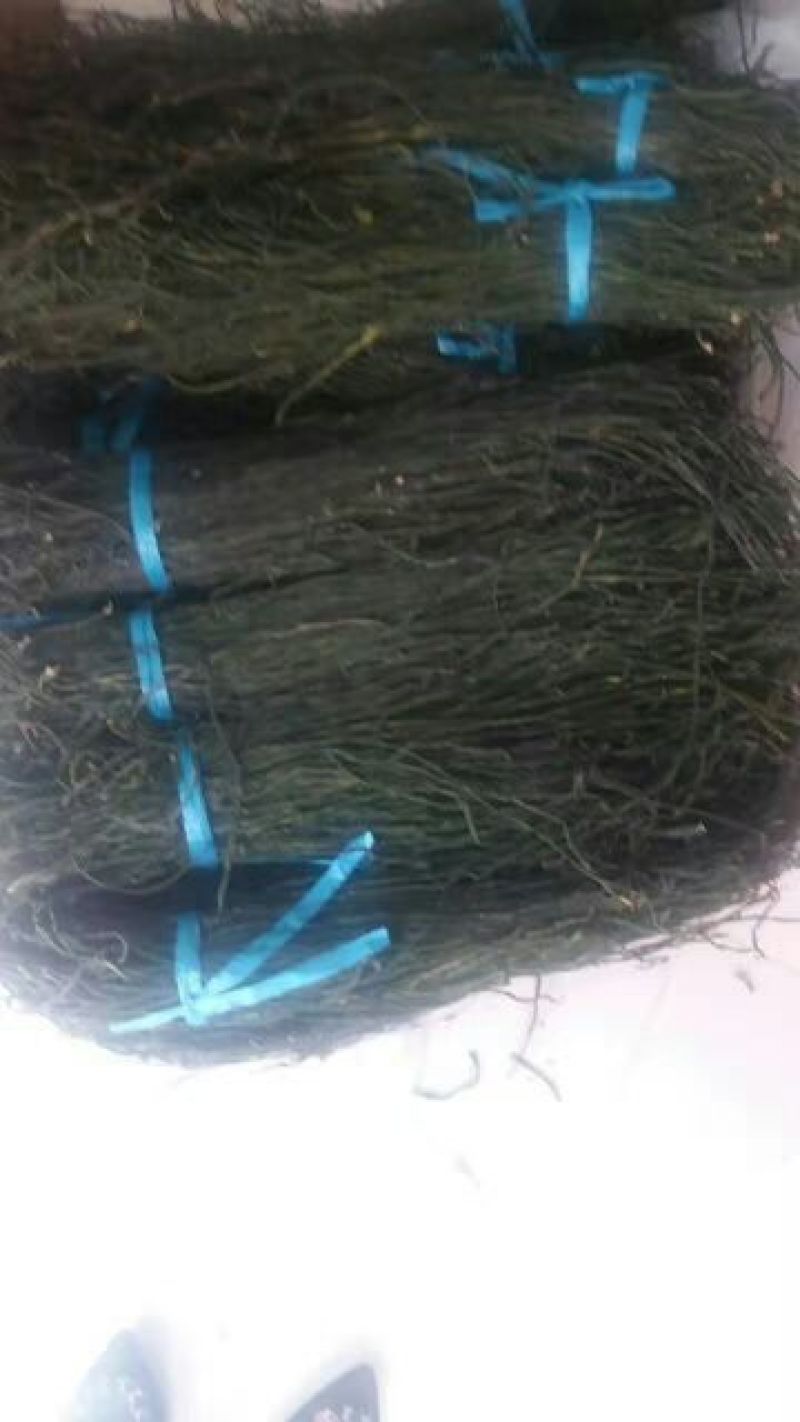 脱水长豆角，青条豆角，精品豆角，豆角干，干豇豆
