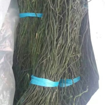 脱水长豆角，青条豆角，精品豆角，豆角干，干豇豆