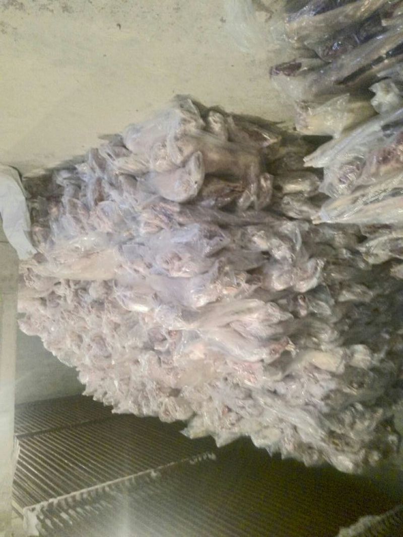 内蒙古草原牛羊产品副产大量供应