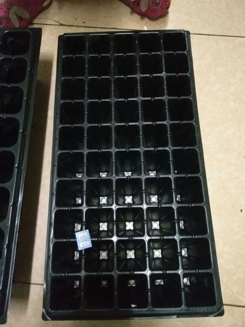 穴盘32孔