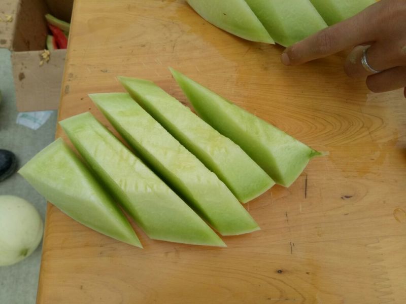 甜瓜苗
