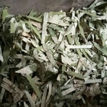 荷叶30cm以上选货