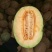 西州蜜瓜5斤以上长圆形