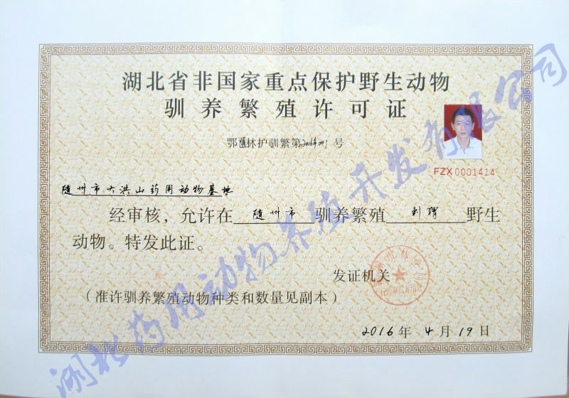 刺猬皮养殖场专供合法货源