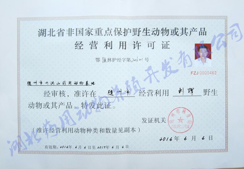 刺猬皮养殖场专供合法货源