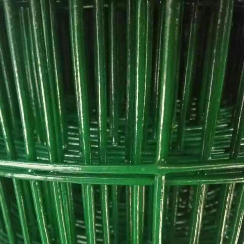 荷兰网圈地铁丝网养殖围栏网浸塑铁丝网绿色铁丝网