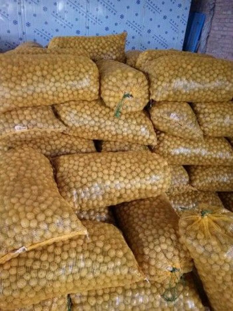青皮核桃孕妇营养核桃去皮通货大量发货中