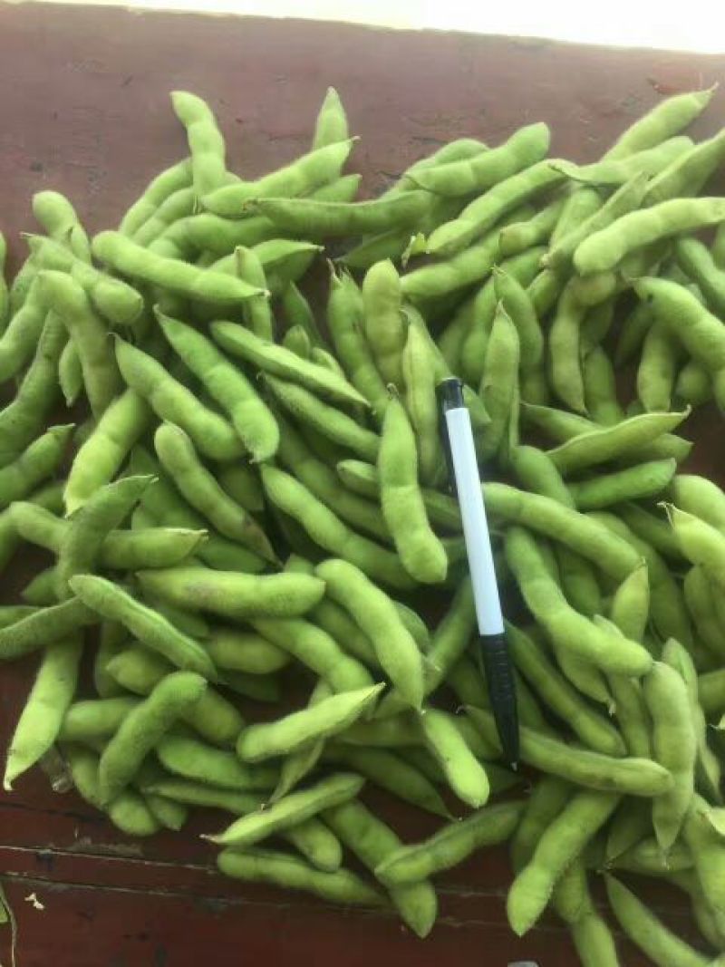高杆青豆24~30克