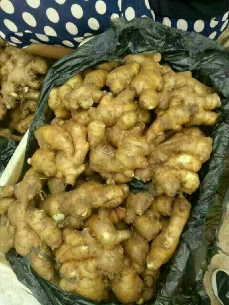 生姜批发价格，品种齐全，质量保证！价格便宜！