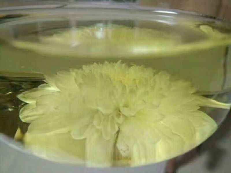 药用菊花袋装