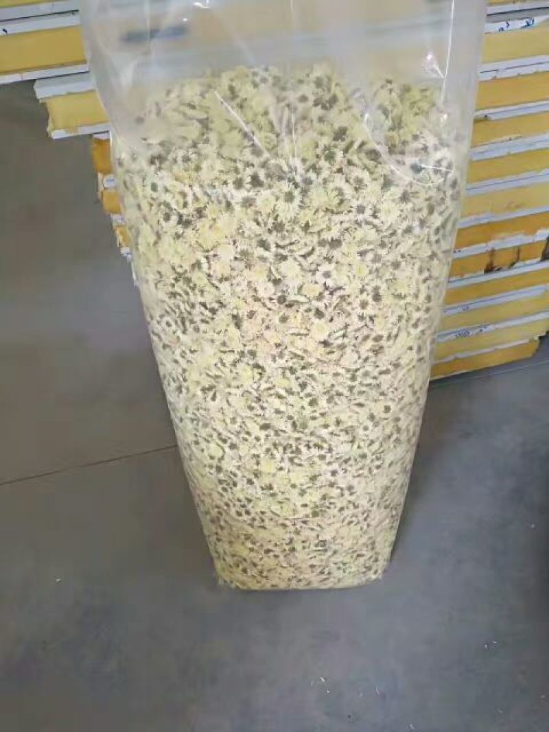 药用菊花袋装