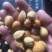 新疆巴旦木散装
