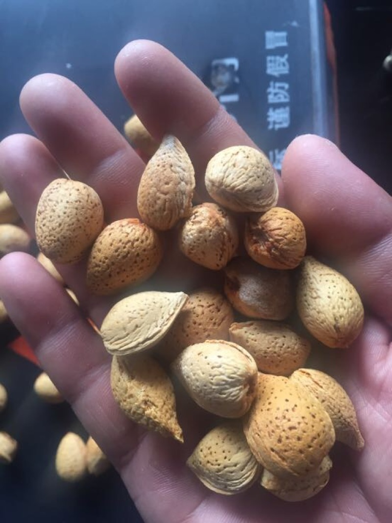 新疆巴旦木散装