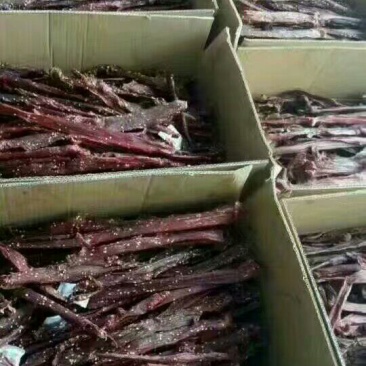 牛肉干牦牛肉鲜肉