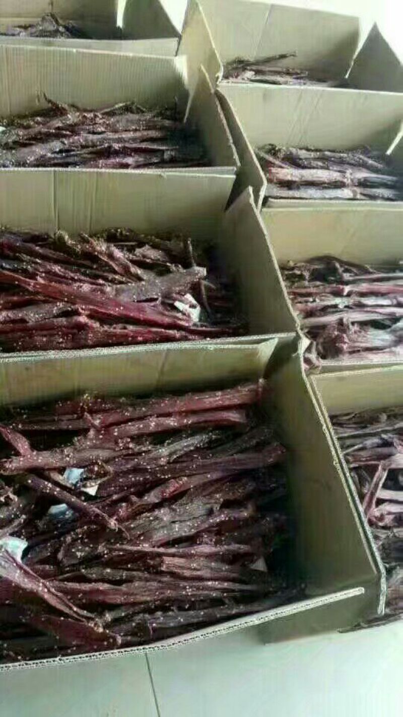 牛肉干牦牛肉鲜肉