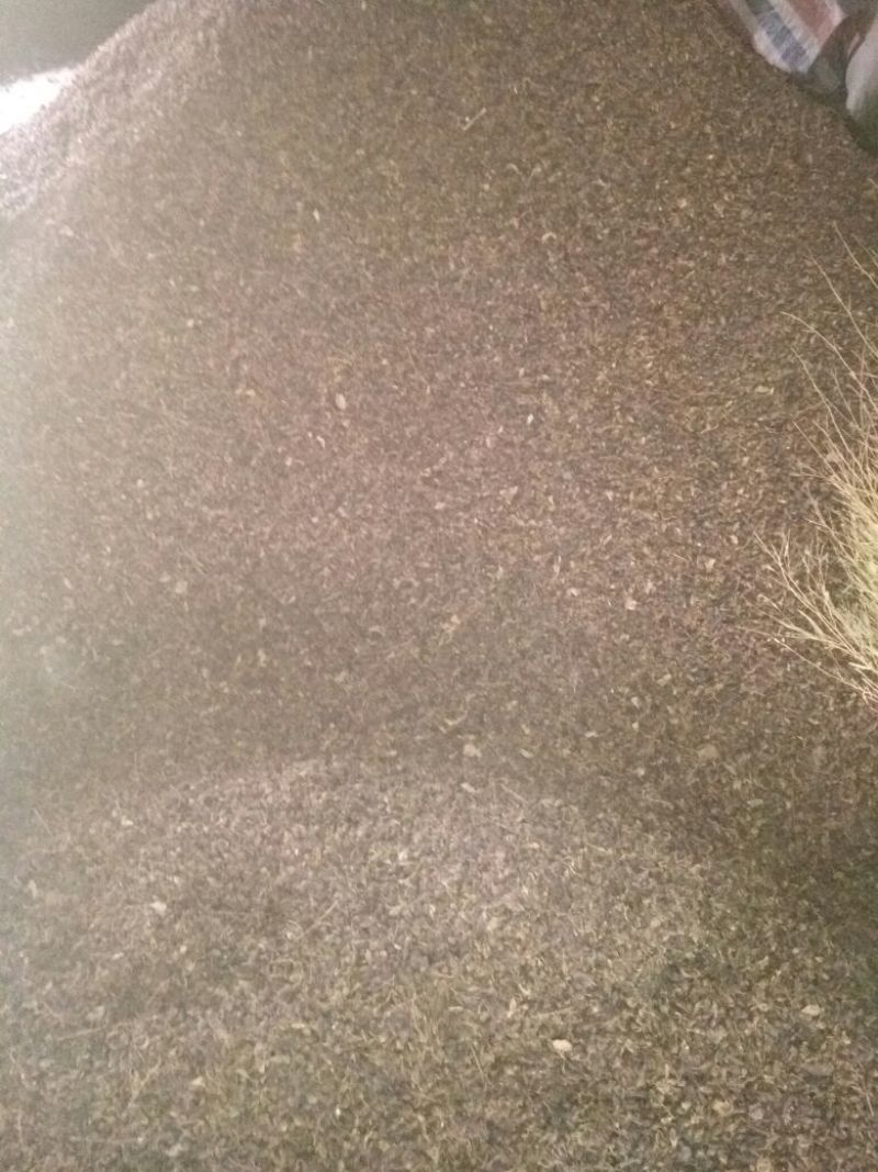 青翘青翘水煮统