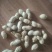 花生鲜货带壳，200亩白花生大量上市。