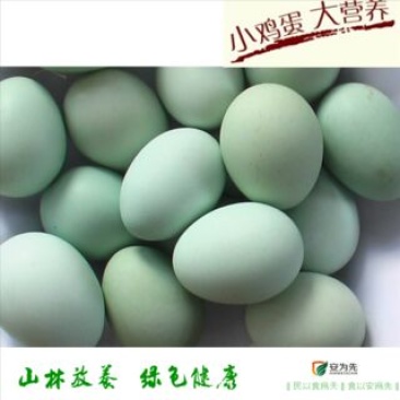 乌鸡蛋50~60g食用特价