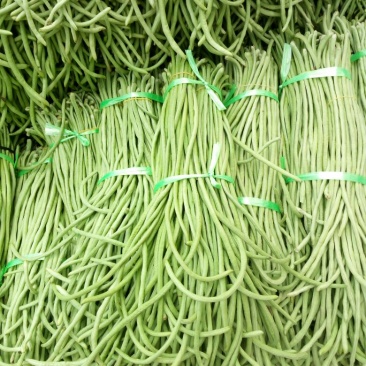 精品绿豆角，可以分把，适合发往全国各地大小市场