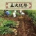 柠檬膏