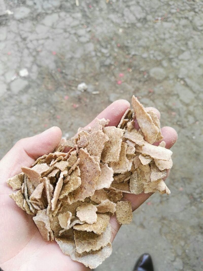蛋白48个，包装，质量很好，货源充足