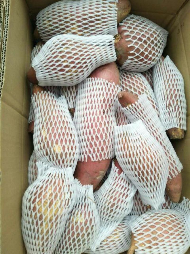 六鳌红心红薯4两以上红心