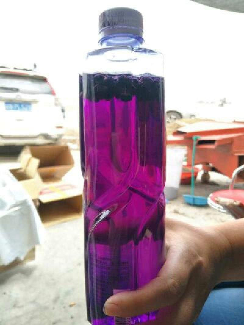 黑枸杞干货头茬