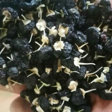 黑枸杞干货头茬