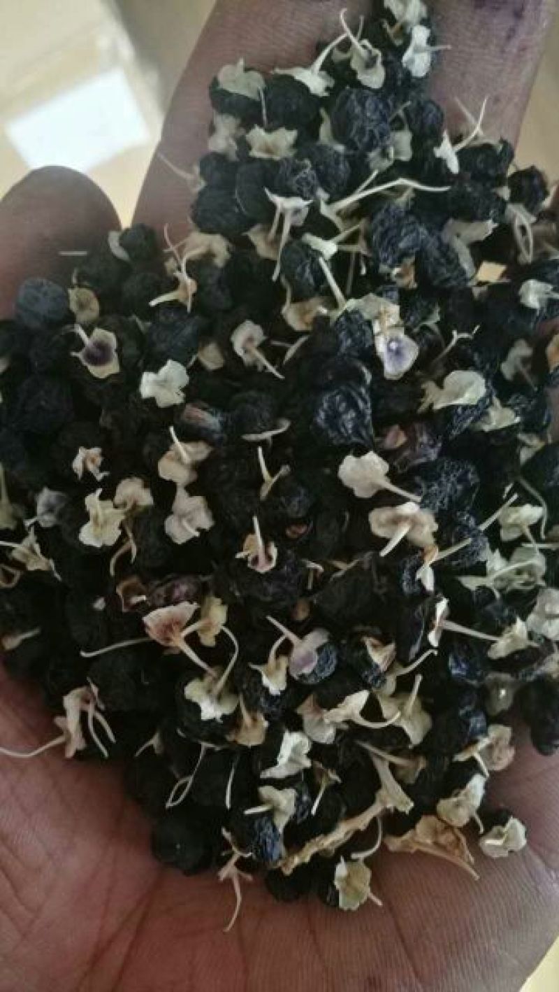 黑枸杞干货头茬