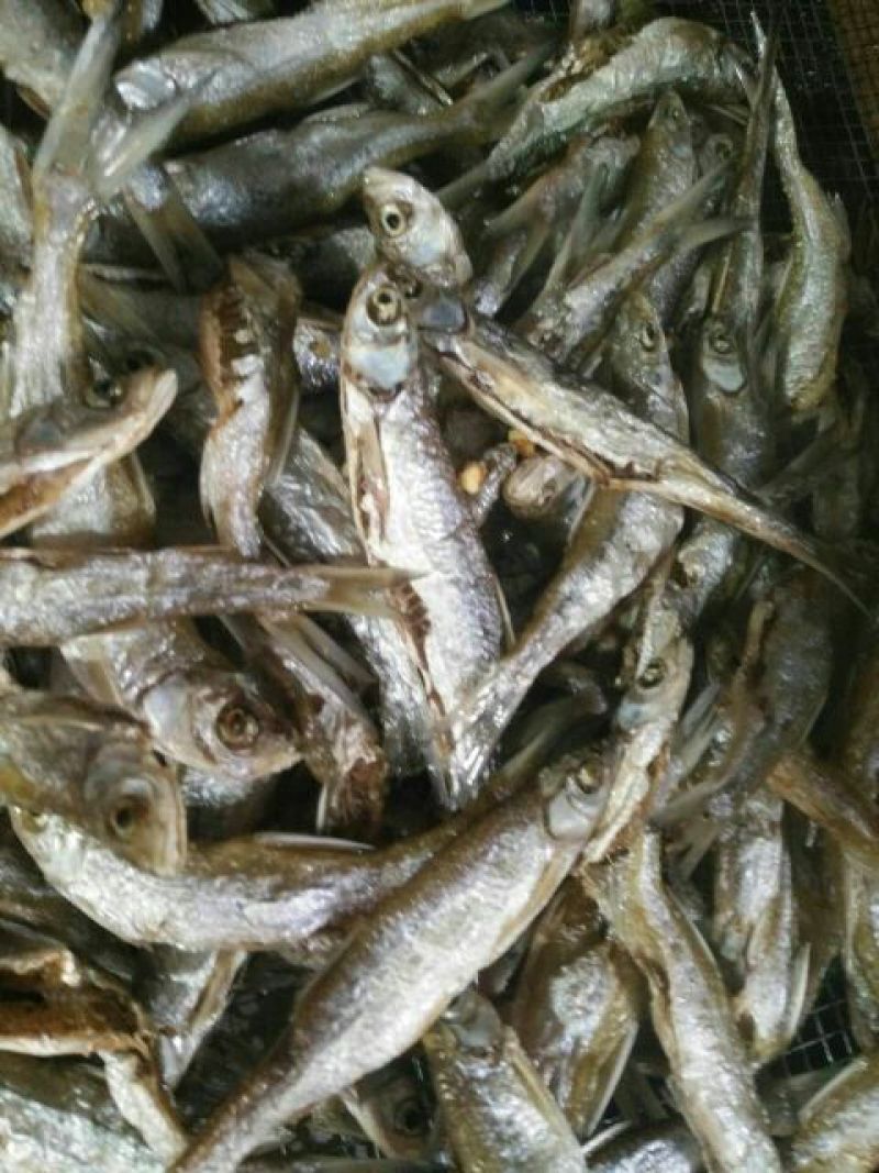 火焙鱼稻谷香味
