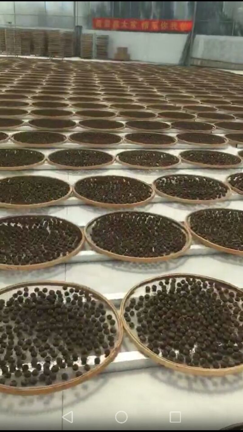 柑普茶特级