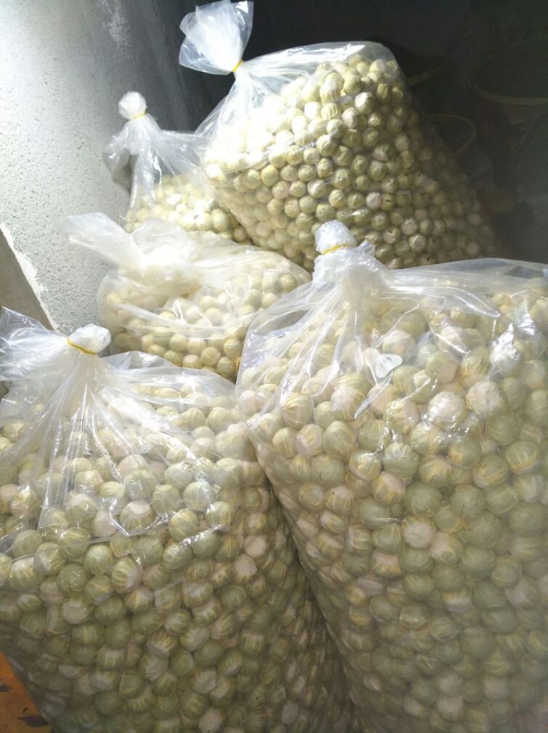 柑普茶特级