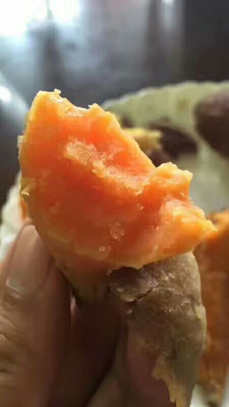 六鳌红心红薯2两以上红心